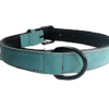 Collar Para Perros Talla M