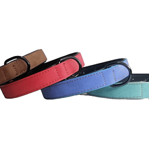 Collar Para Perros Talla M