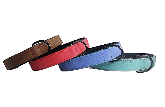 IMG_20230715_201207-removebg-preview Collar Para Perros Talla M