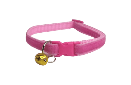 Collar Nylon Terciopelo 20-36cm