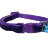 Collar Nylon Terciopelo 20-36cm