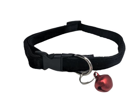 Collar Nylon Terciopelo 20-36cm