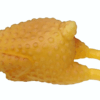 Juguete Pollo