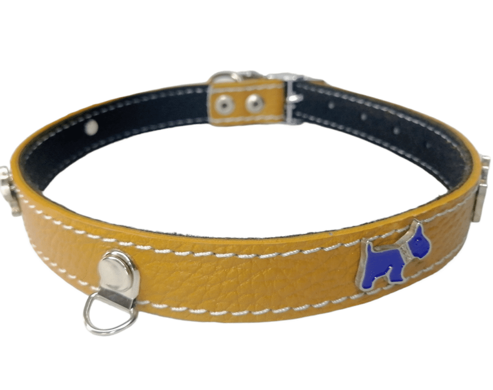 Collar Con Aplicaciones Talla 4