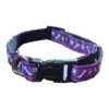 Collar Para Perritos