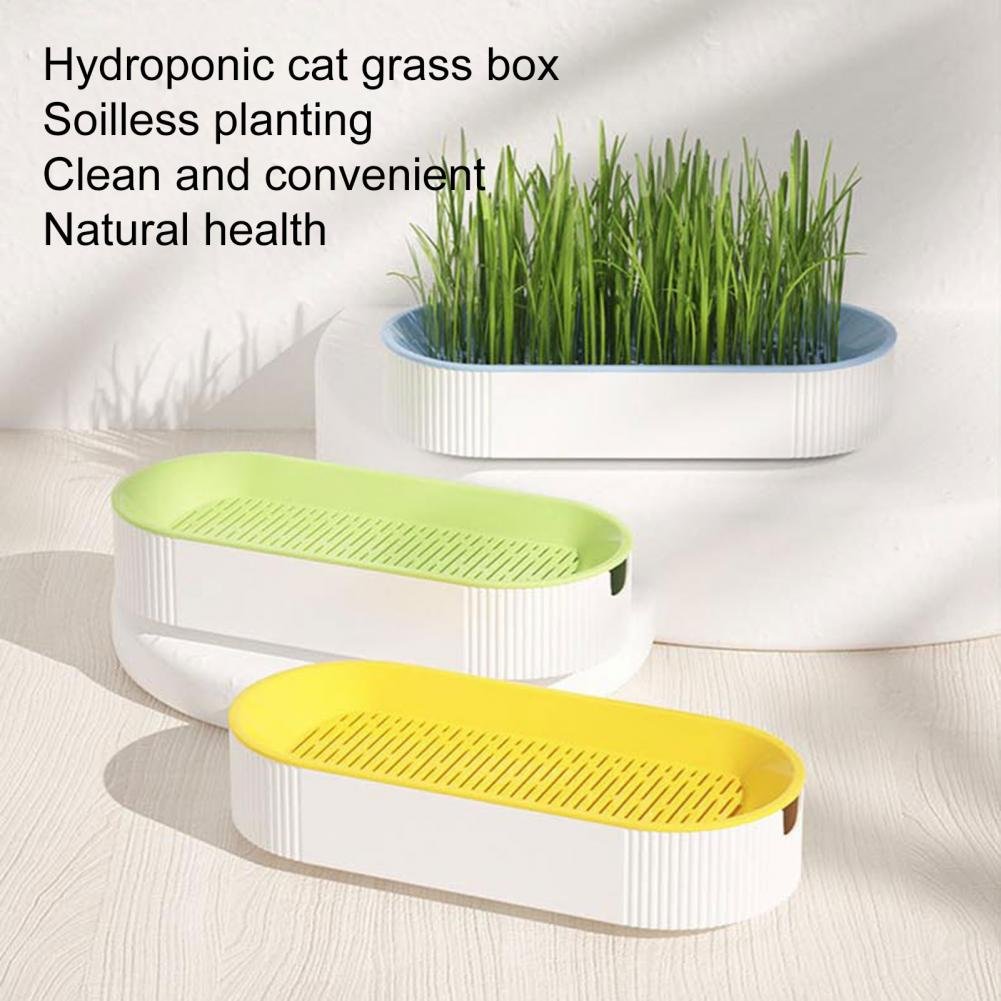 S38cb35e9a7054f62a4ba0e02d6e6f583c Catgrass Germinador Ovalado