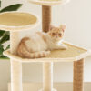 GIMNASIO GATO 1.20M