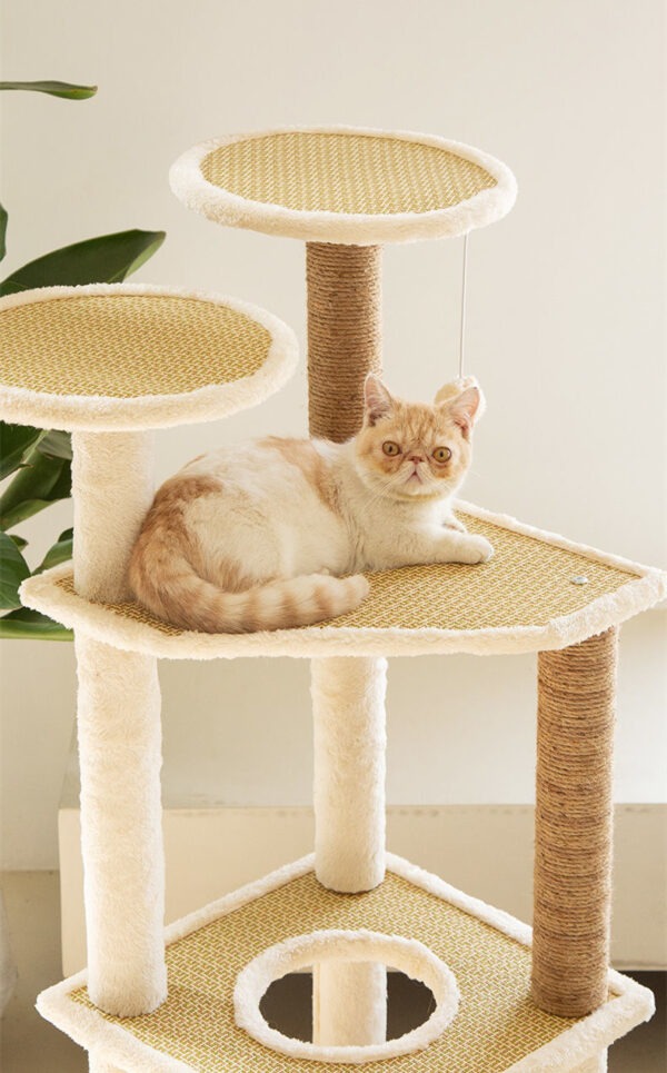 GIMNASIO GATO 1.20M