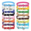 Collar Con Cascabel Importado Talla S 20-28 cm