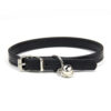 Collar Con Cascabel Importado Talla S 20-28 cm