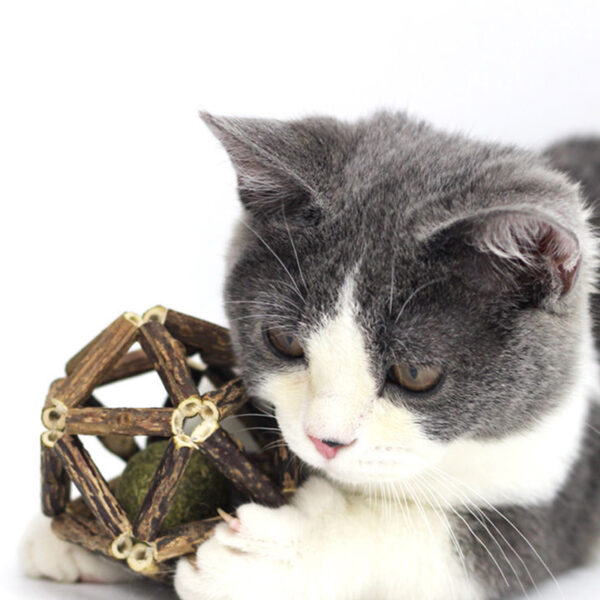 Juguete Silveriene Y Esfera Catnip