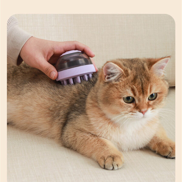 Cepillo Masajeador Y Dispensador Shampoo