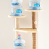 GIMNASIO GATO 1.20M