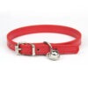 Collar Con Cascabel Importado Talla S 20-28 cm