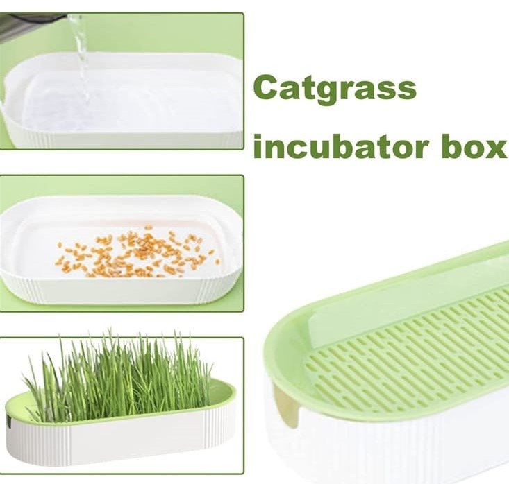 WhatsApp Image 2023-06-04 at 2.10.22 AM (3) Catgrass Germinador Ovalado