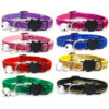 Collar Brillante