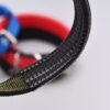 Collar Nylon Acolchado