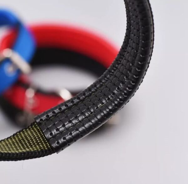 Collar Nylon Acolchado