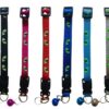 Collar Ojos De Gato Luminosos (20-36cm)