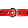 Collar Con Tachas Talla 3