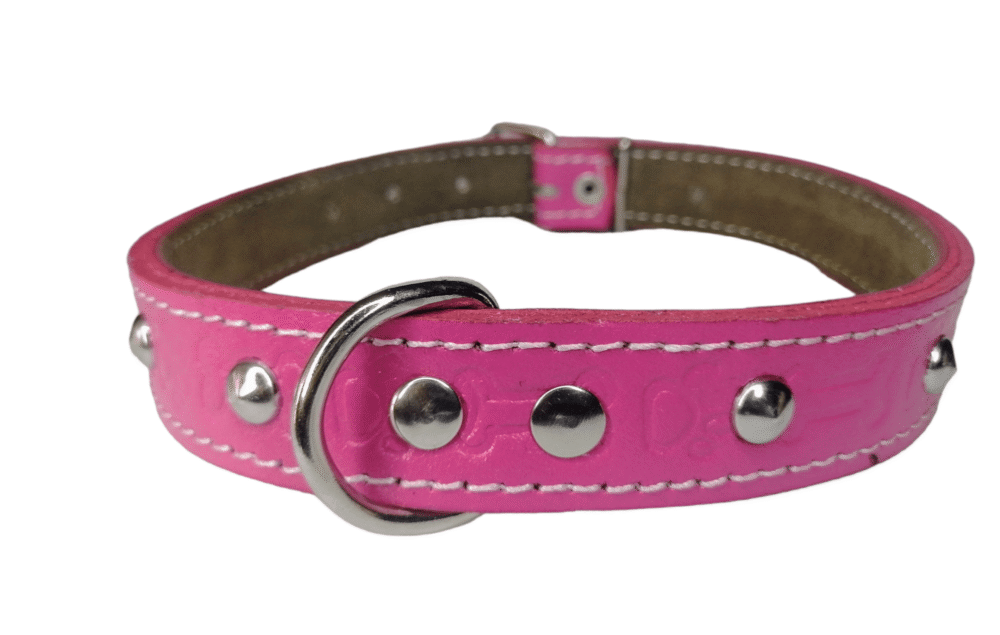 Collar Con Tachas Talla 3