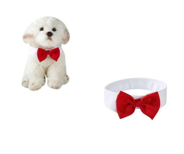 Michi Rojo Con Cuello Para Mascotas