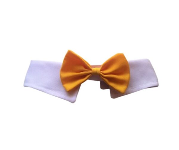 Michi Amarillo Con Cuello Para Mascotas