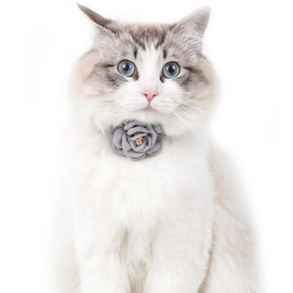 25ae612e-6bec-489e-ae34-89c3fbae5854 Collar Con Flor
