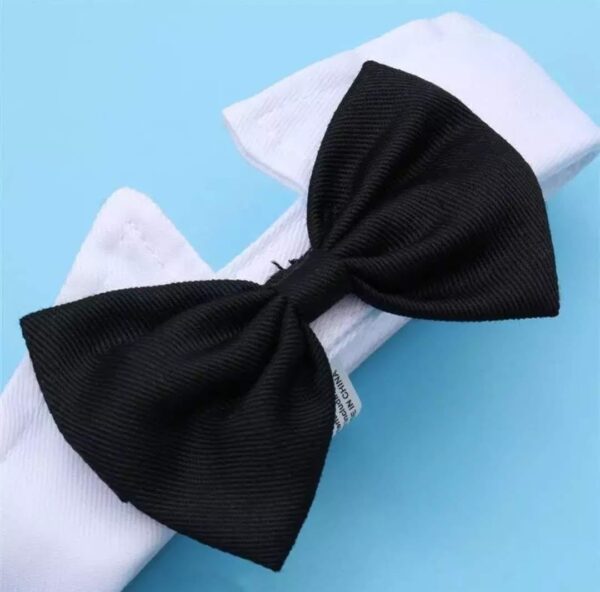 Michi Negro Con Cuello Para Mascotas