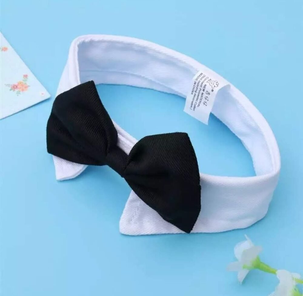 2c6aeaad-d16c-4e6b-a823-d1405fdc5f41 Michi Negro Con Cuello Para Mascotas