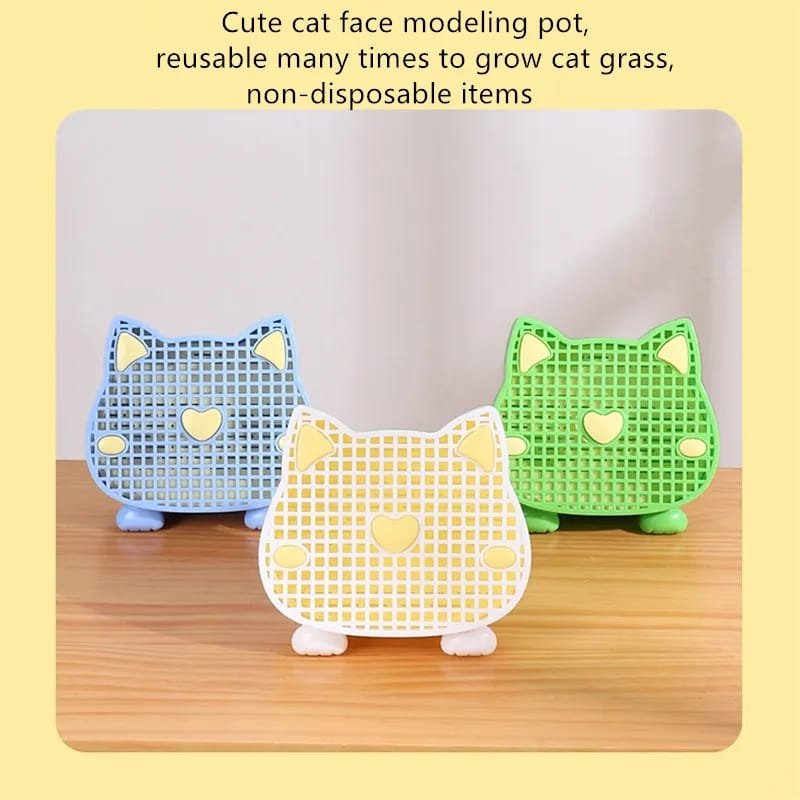 Cat Grass Germinador De Hierba Gatera