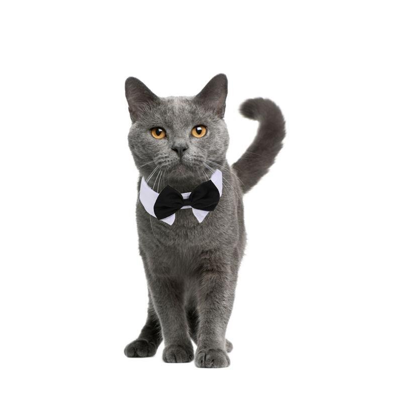 Hc0682f89b3f84a7cb394df6c8c3d31a4G Michi Negro Con Cuello Para Mascotas