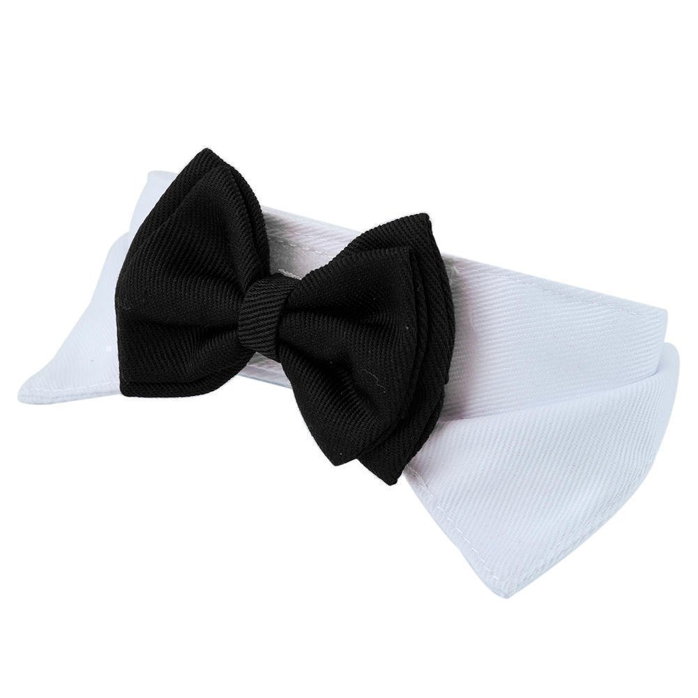Hf2fbd3f1f879424baa7190520116f17ed Michi Negro Con Cuello Para Mascotas