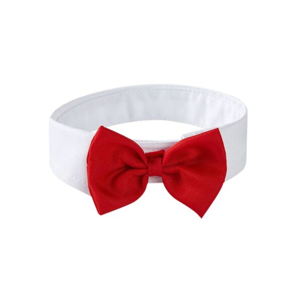 Michi Rojo Con Cuello Para Mascotas