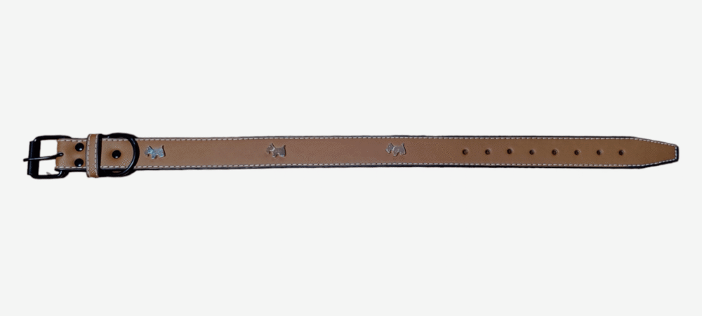 Collar Con Aplicaciones Talla L