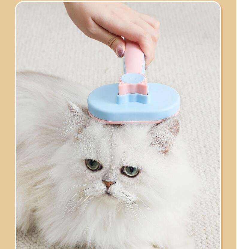 Cepillo Gatito Con Botón Expulsador