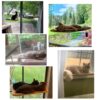 Hamaca De Ventana Para Gatos