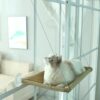 Hamaca De Ventana Para Gatos