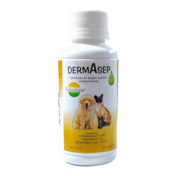 Dermasep 120ml
