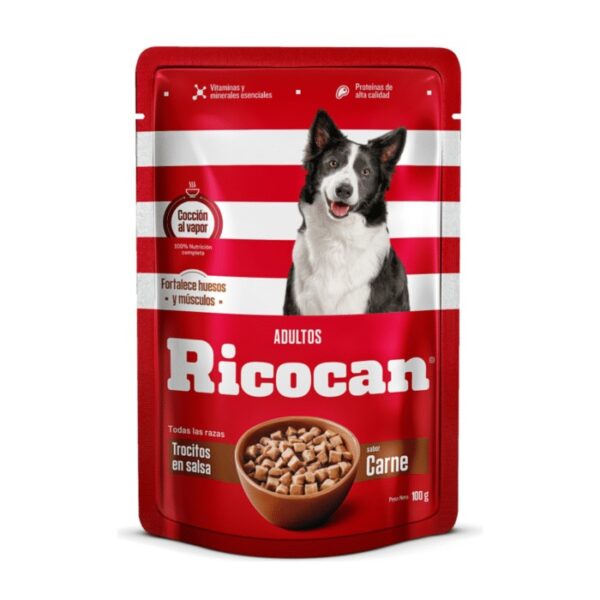 Ricocan Adulto Trocitos Carne Pouch 100g