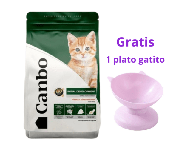 Canbo Cat Cachorros Initial Development