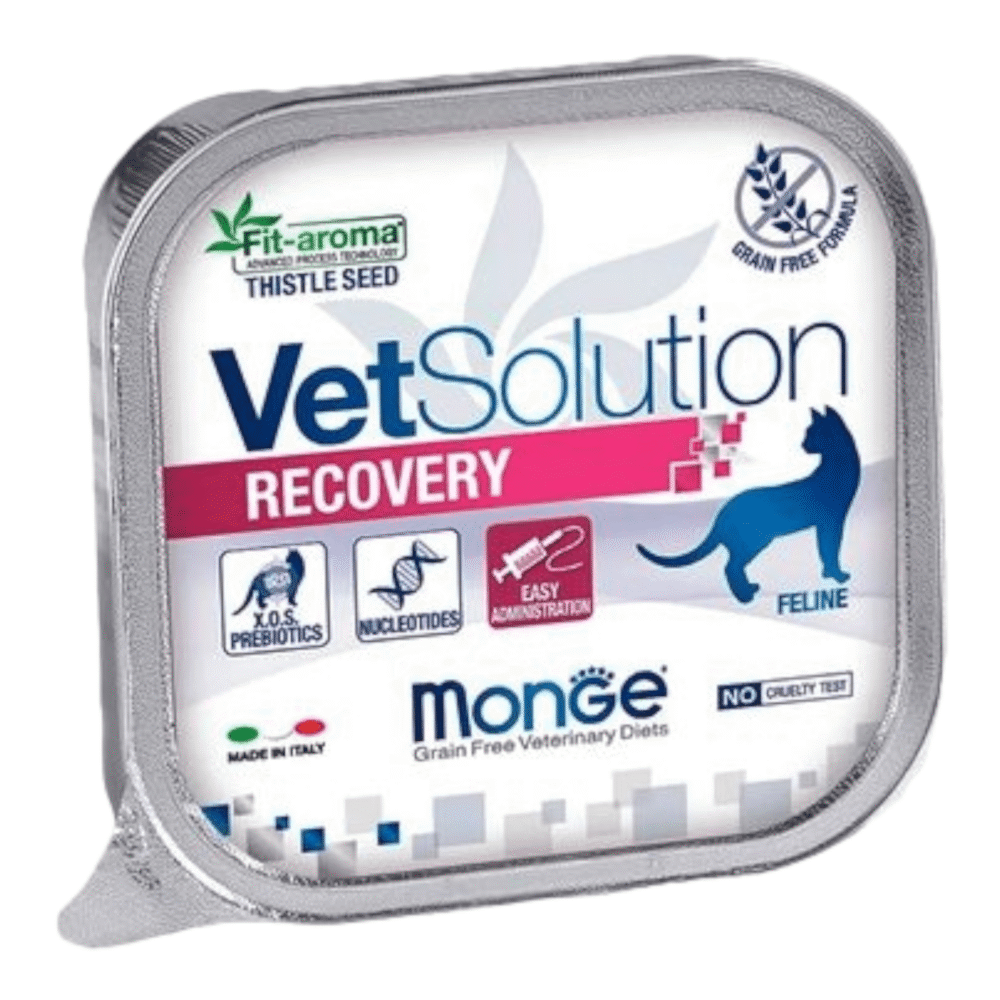 Monge Vs Feline Recovery 100g