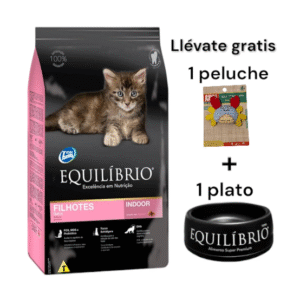 Equilibrio Kittens 1.5kg