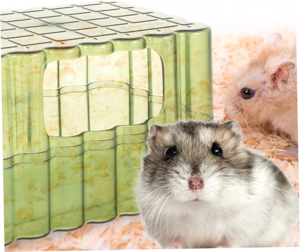 Baño Grande Para Hamster