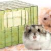Baño Grande Para Hamster
