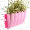 Henera Para Conejo