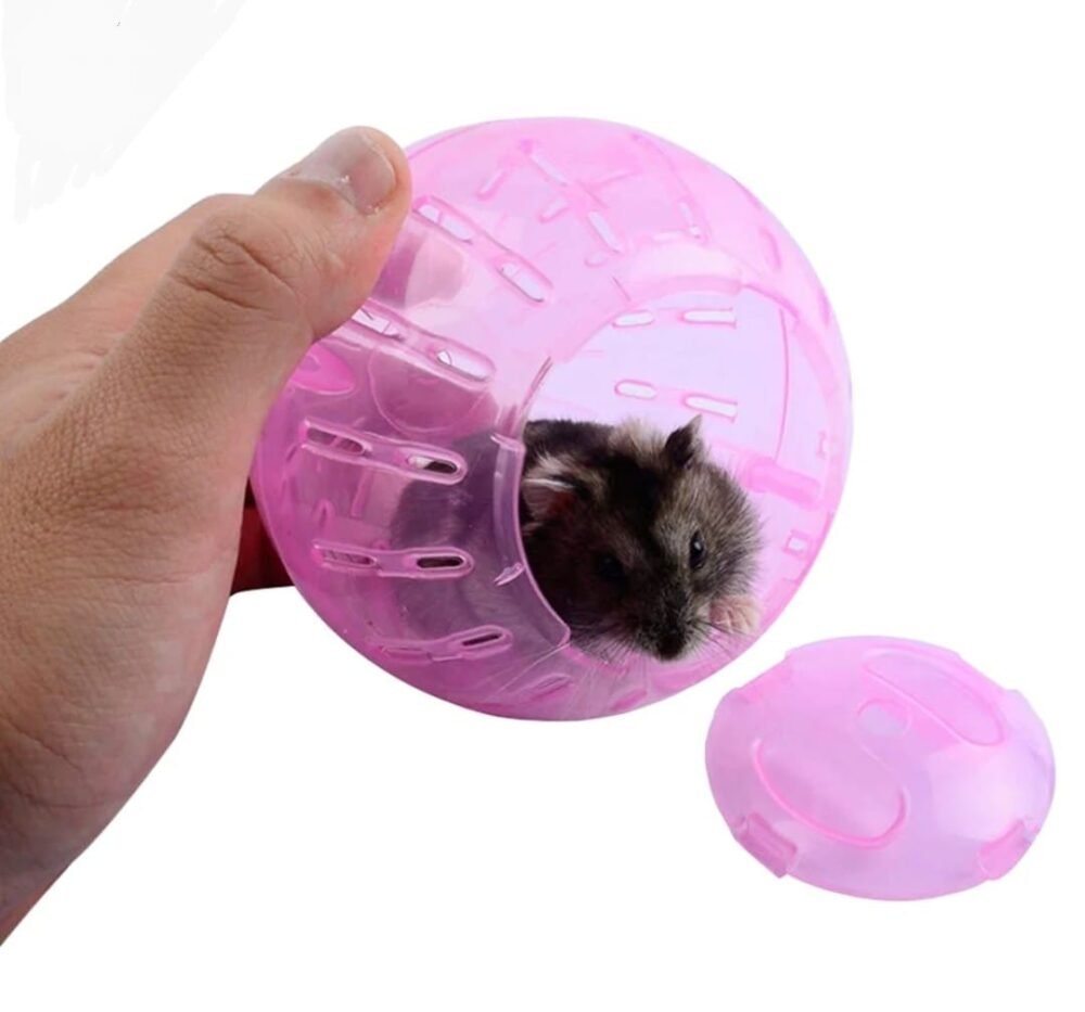 Transportador Hamster Esfera 12cm