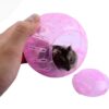 Transportador Hamster Esfera 12cm