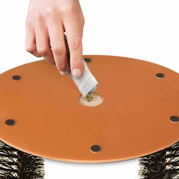 Arco Rascador para Gatos
