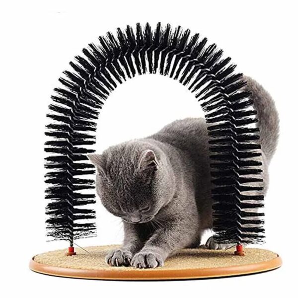 Arco Rascador para Gatos